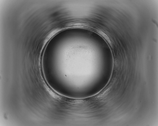 X0000095131482200712071256