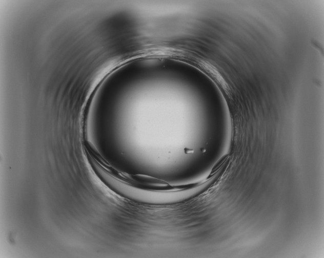 X0000095131483200712071256