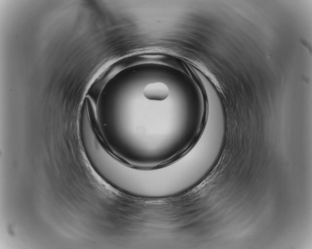 X0000095131484200712071256