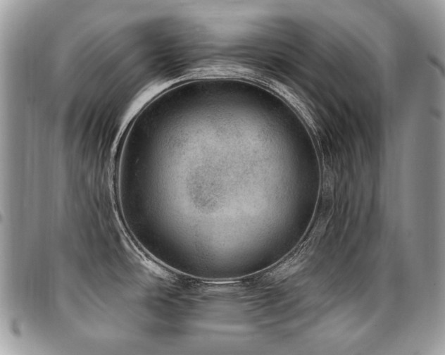 X0000095131486200712071256