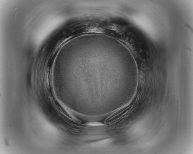 X0000095131487200712071256