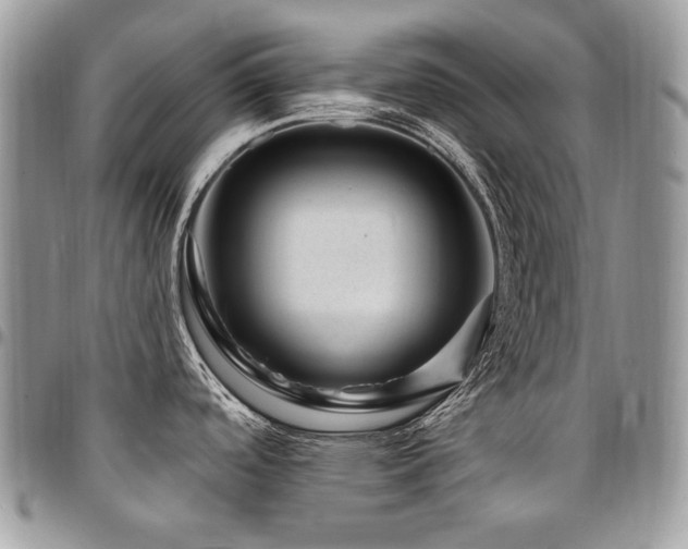 X0000095131488200712071256