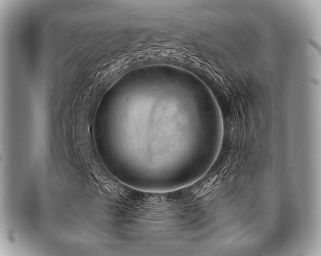X0000095131489200712071255
