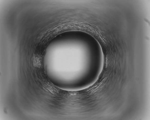 X0000095131490200712071255