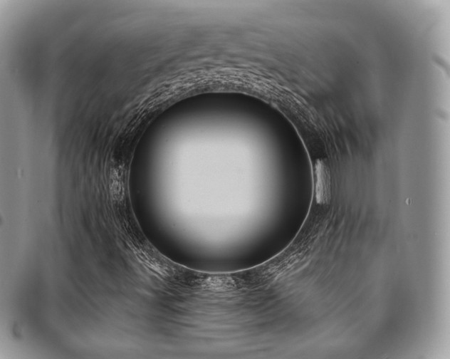 X0000095131491200712071255