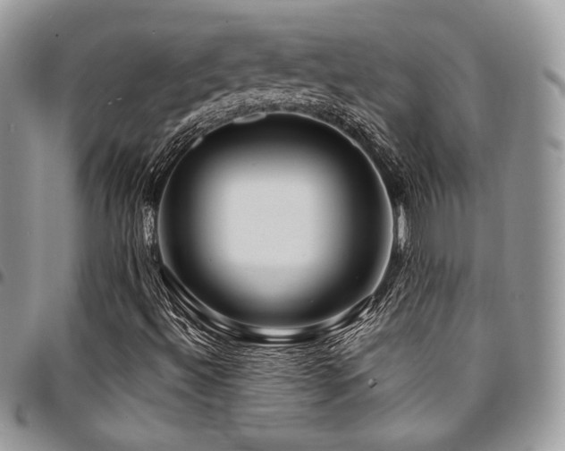 X0000095131492200712071255