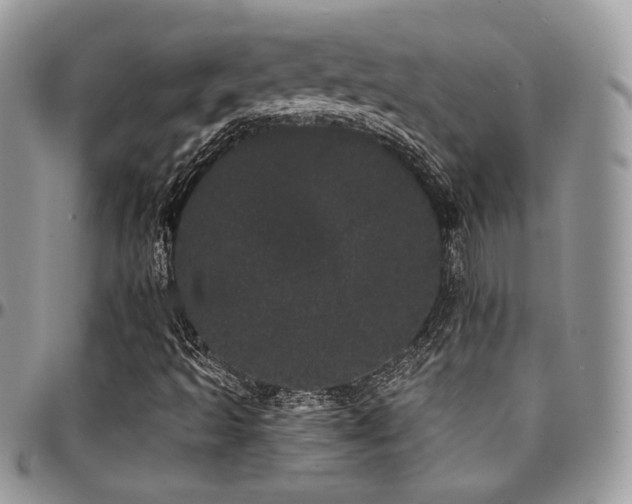 X0000095131493200712071255