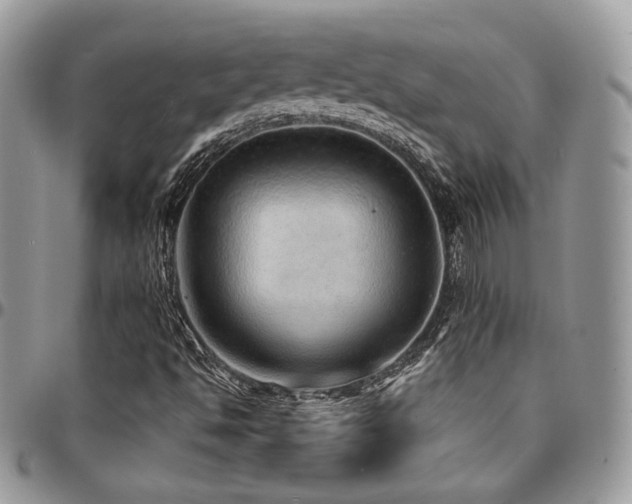 X0000095131494200712071255