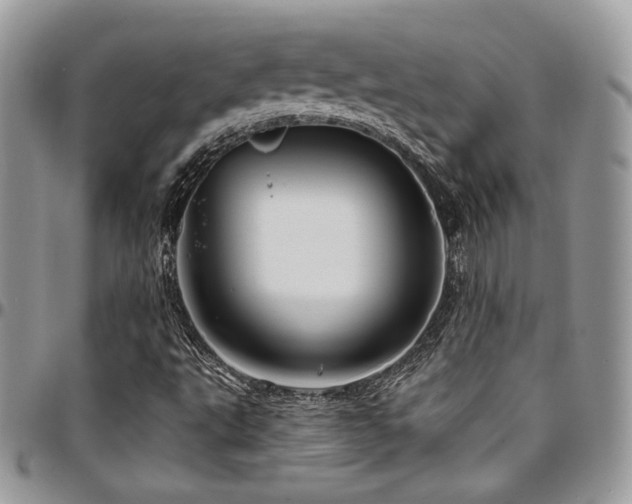 X0000095131495200712071255