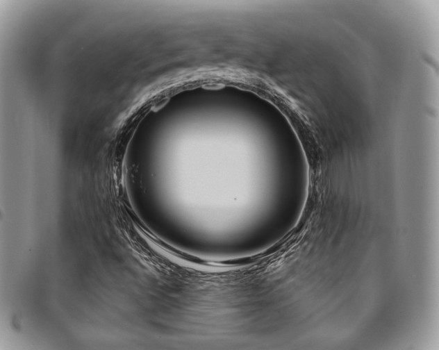 X0000095131496200712071255