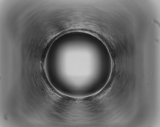 X0000095131497200712071255