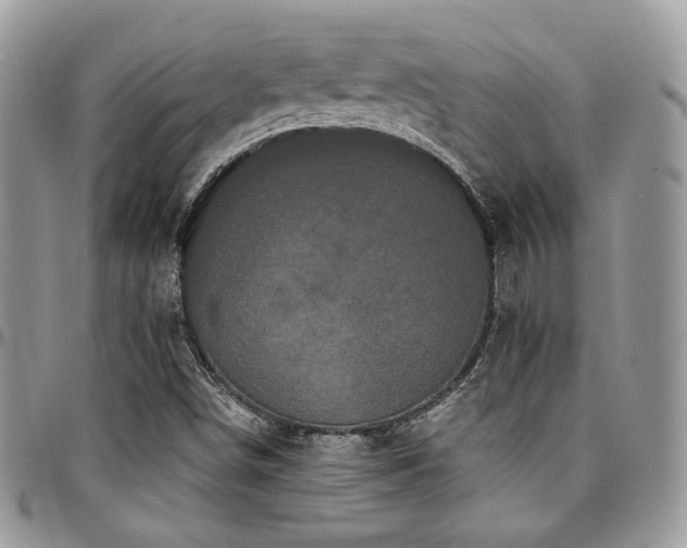 X0000095131498200712071255
