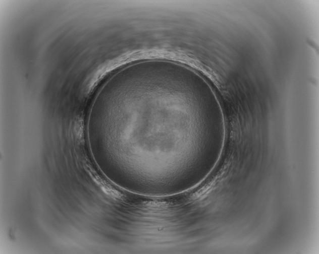 X0000095131499200712071255