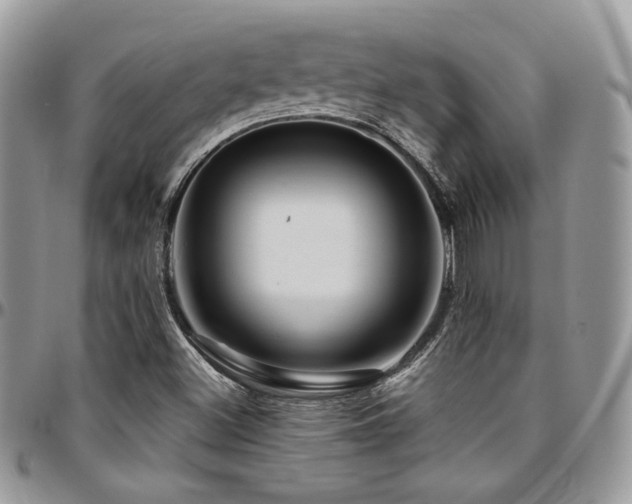 X0000095131500200712071255