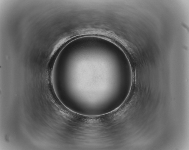 X0000095131501200712071255