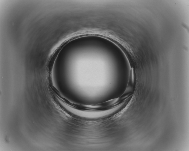 X0000095131502200712071255