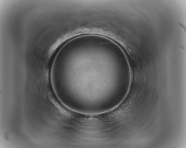 X0000095131503200712071256