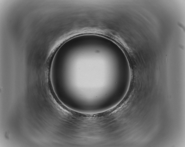 X0000095131504200712071256