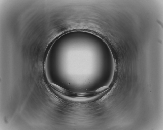 X0000095131505200712071256