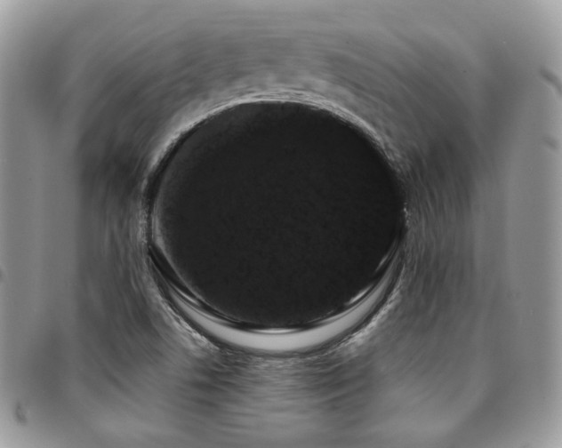 X0000095131506200712071256
