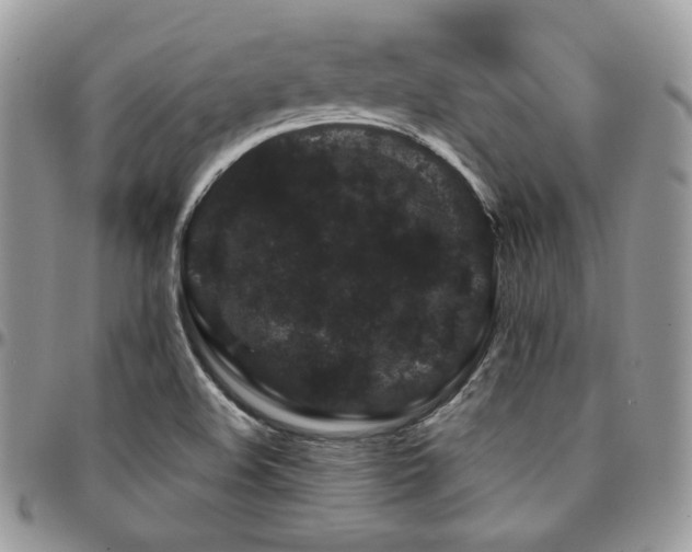 X0000095131508200712071256