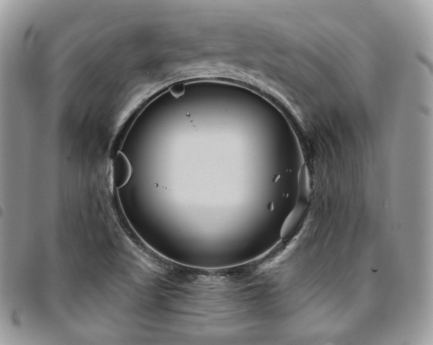 X0000095131509200712071256