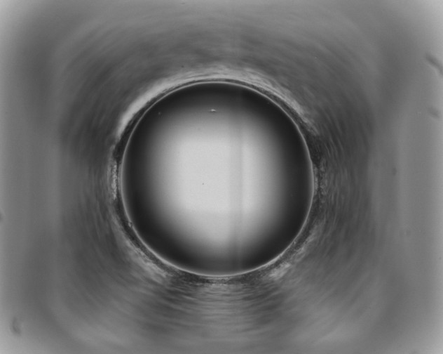 X0000095131510200712071256