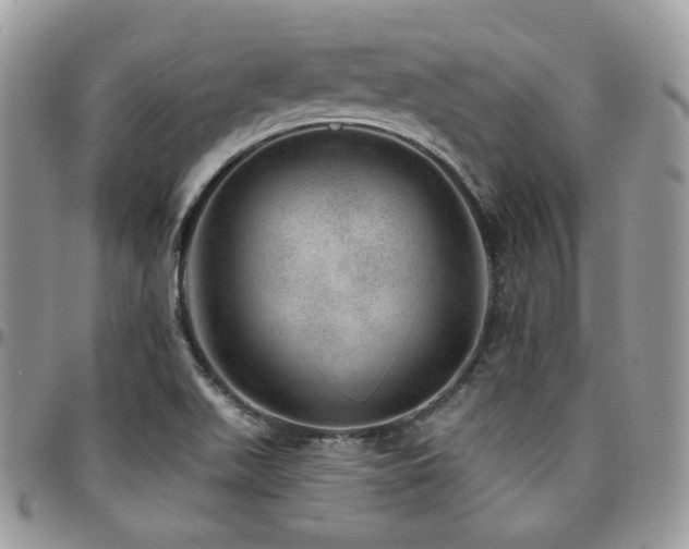 X0000095131511200712071256