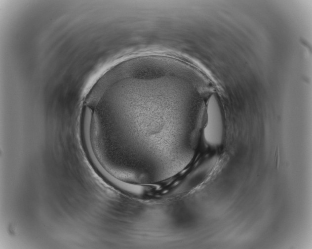X0000095131512200712071256