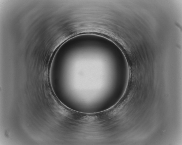 X0000095131513200712071256