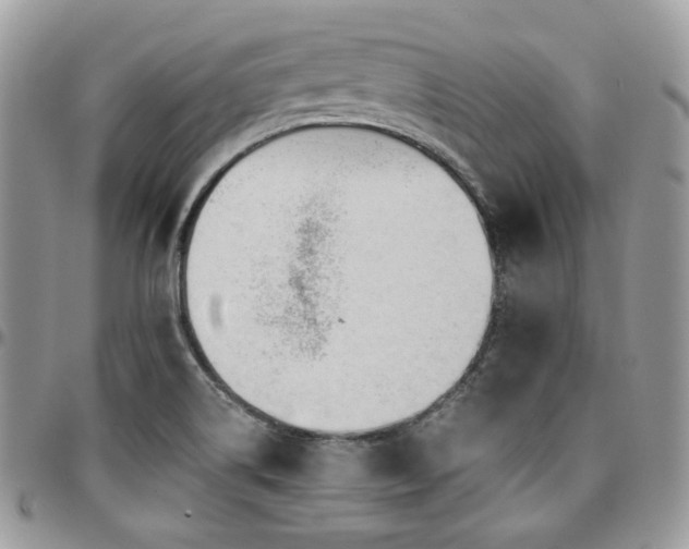 X0000095131514200712071256