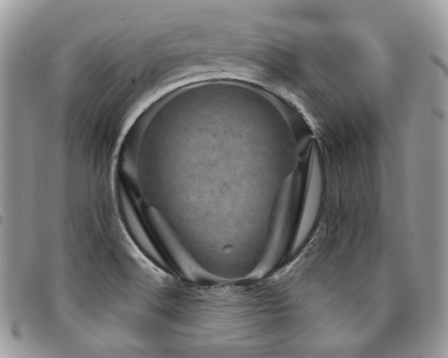 X0000095131516200712071256
