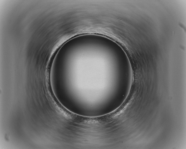 X0000095131517200712071256