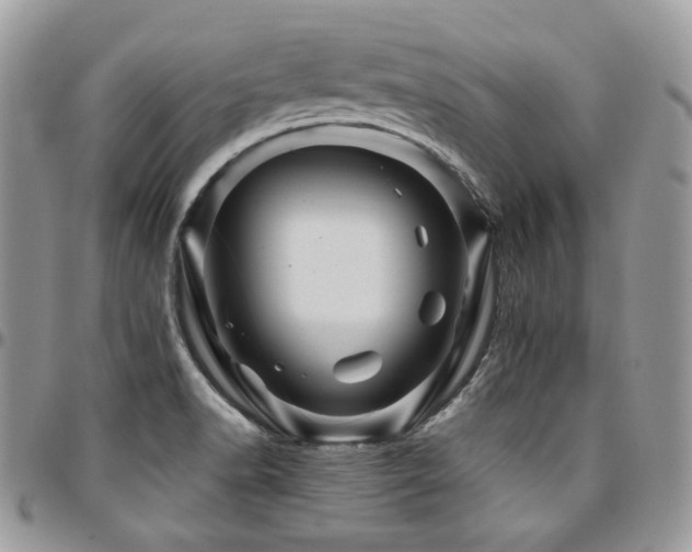 X0000095131518200712071256