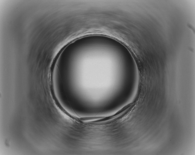X0000095131519200712071256