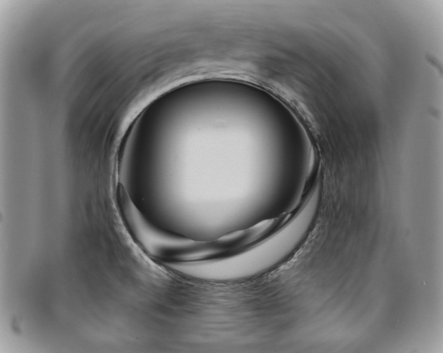 X0000095131520200712071256