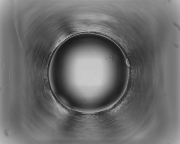 X0000095131521200712071256