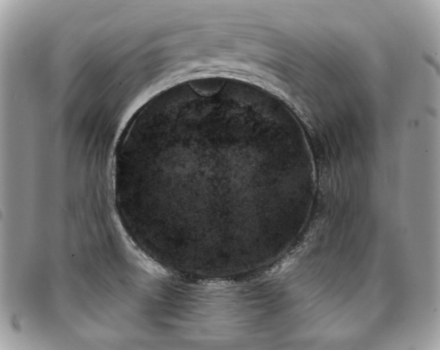 X0000095131522200712071256