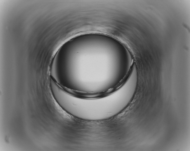 X0000095131524200712071256