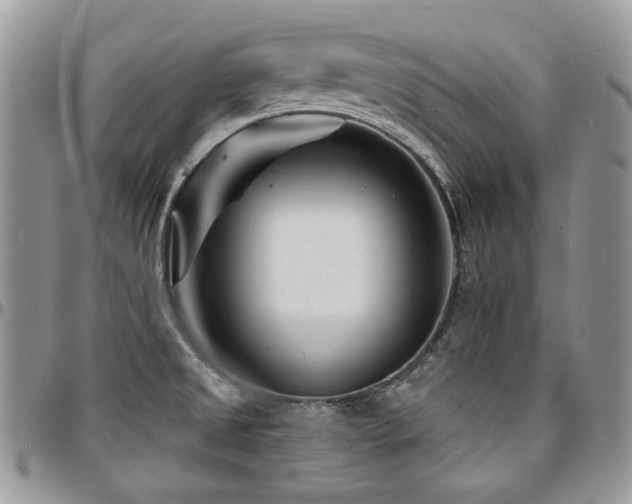X0000095131525200712071256