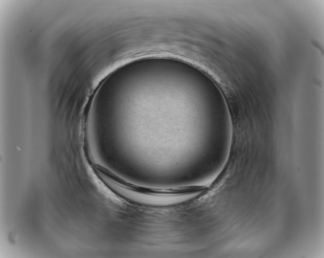 X0000095131526200712071256