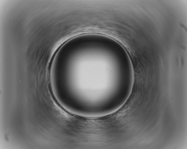 X0000095131527200712071256