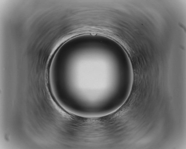 X0000095131531200712071256
