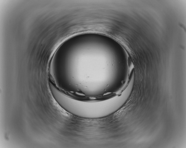 X0000095131532200712071256