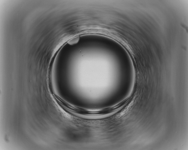 X0000095131533200712071256