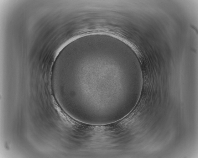 X0000095131534200712071256