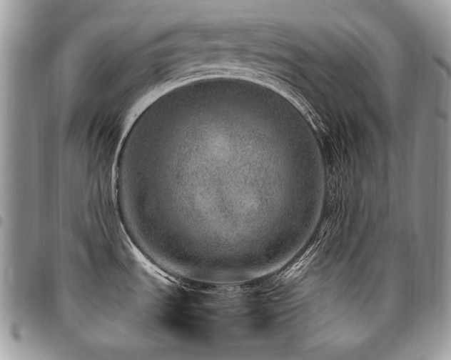 X0000095131535200712071256