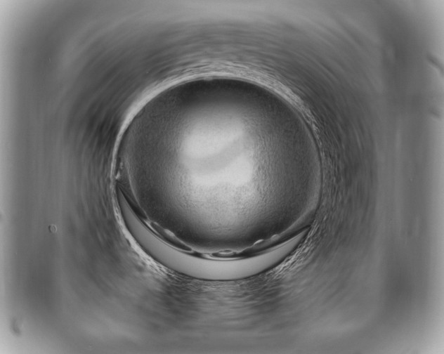 X0000095131536200712071256