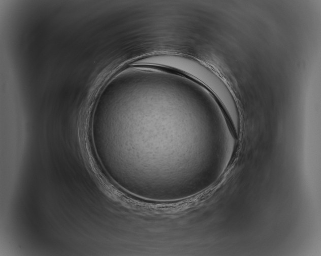 X0000095130001200712141206