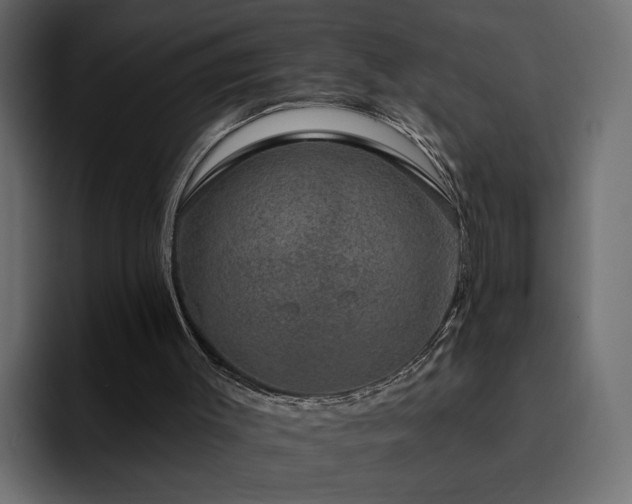 X0000095130003200712141206